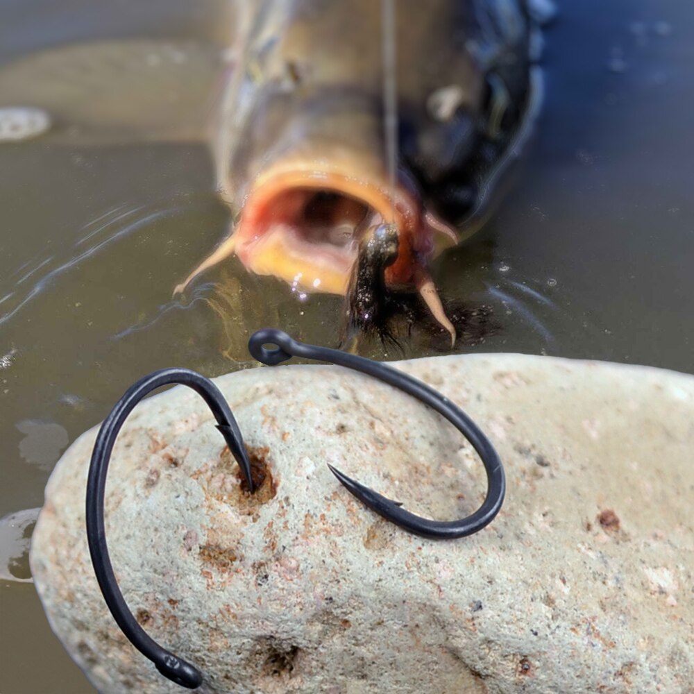 خطافات صيد سمك الشبوط هيريسي 5 - مراجعة Fishing Hook Barbless وسعره